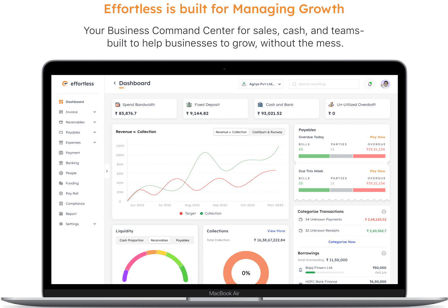 The Effortless dashboard showing revenue, collections, payables and liquidity